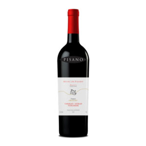 Pisano-Rio-de-los-Pájaros-Reserva-Tannat-–-Syrah-–-Viognier