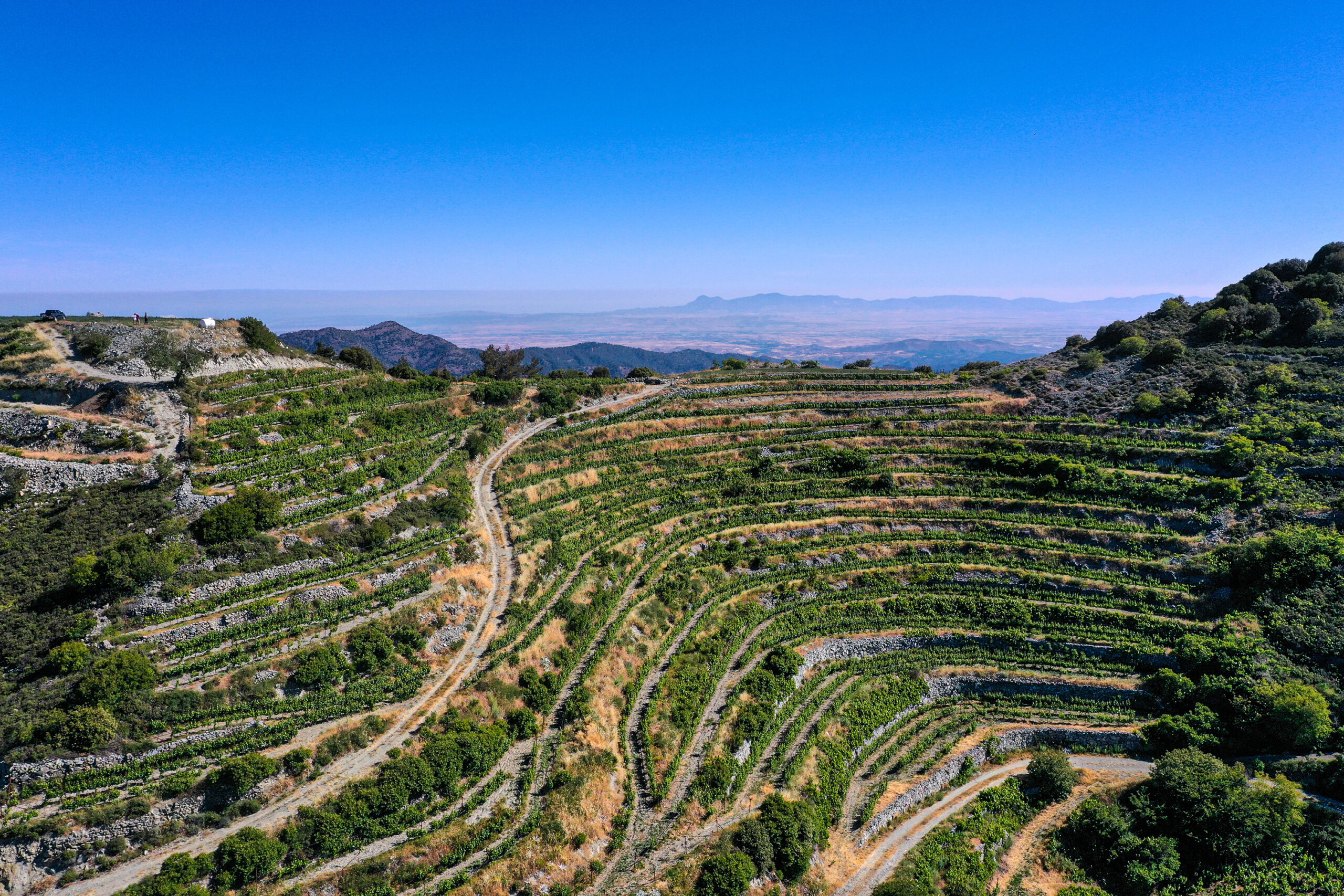 VINÁRSTVO V CENTRE POZORNOSTI: TSIAKKAS WINERY
