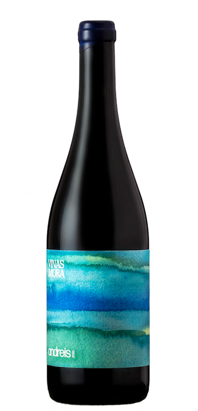 Vinas Mora - Andreis 2021